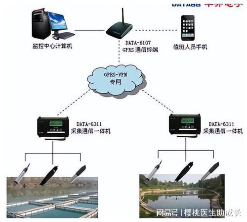 物聯網技術在水產養殖系統中提高穩定性的關鍵技術策略